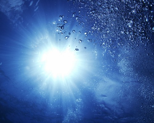 西安市乐恒工贸有限公司怎么样