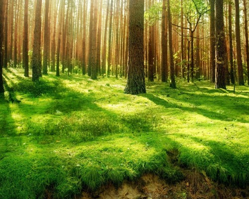 上海时光整形外科医院官网