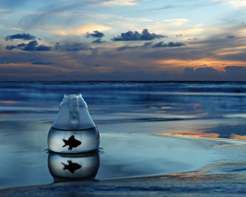 光泽县医院官网