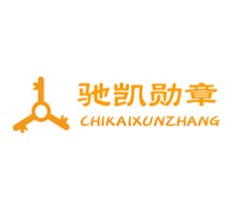 驰凯勋章智能锁