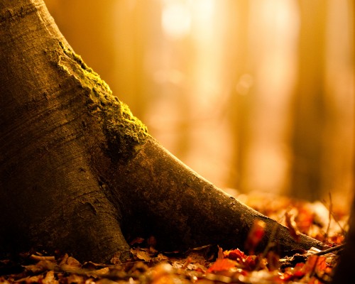 切削液极压剂 金属加工液润滑极压抗磨剂 拉丝油润滑添加剂微乳液