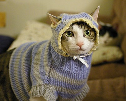 西安魏效荣私人诊所怎么样（西安魏效荣私人诊所怎么样啊）