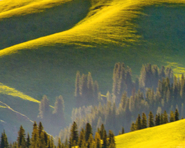 济南库伦特科技有限公司