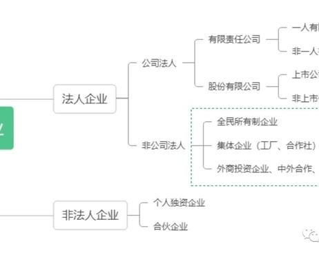 企业类型知多少