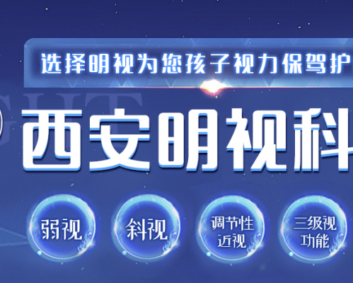 西安明视科技研究所