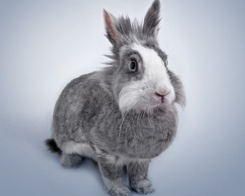 上海建工医院官网