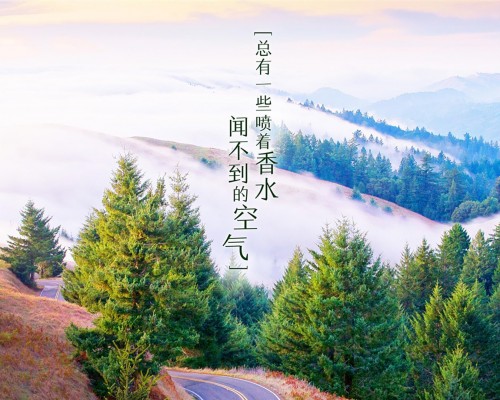 陕西步长天津区域怎么样（陕西步长有限公司）