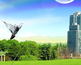 西安市碑林区红光清洗维修服务部