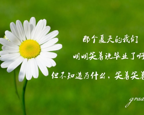 格里菲斯大学官网