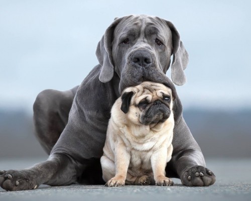 新时代健康官网