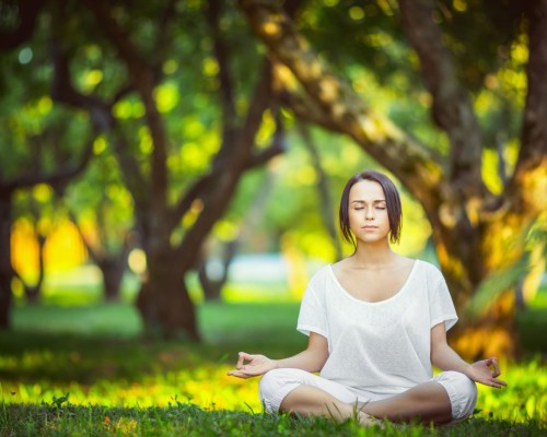 陕西普瑞邦预混料怎么样（陕西普瑞邦饲料）