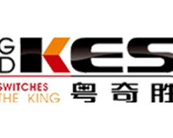 粤奇胜智能家居