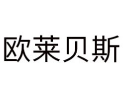 欧莱贝斯智能锁