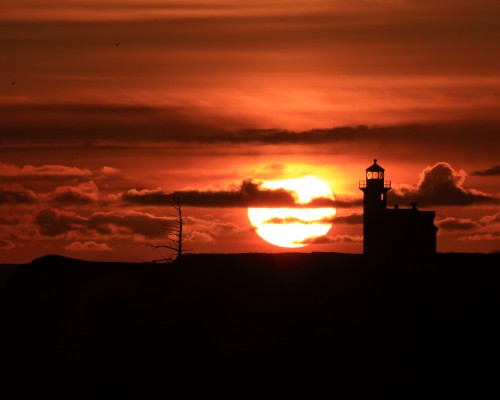 企业开办，越来越方便
