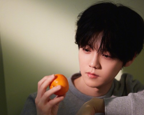  西安世界园艺博览会及西安世界园艺博览会是哪一年