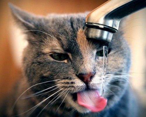  西安晶饶网络科技有限公司：一家专注于互联网服务与创新的企业