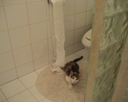 宝鸡凯达房地产有限公司怎么样（宝鸡凯达房地产有限公司怎么样啊）