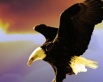 陕西长博检测科技有限公司