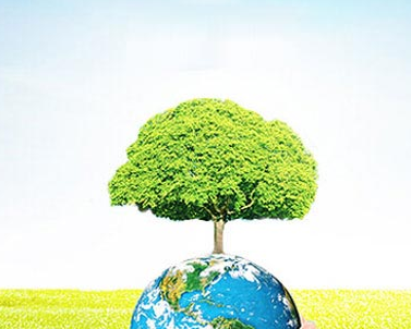 咸阳大圆化工有限公司