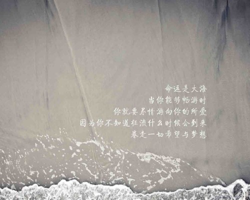 申丰国际学院官网