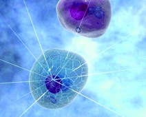 陕西友谊医学检验实验室