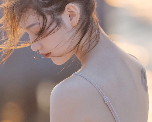 国立文献学院官网