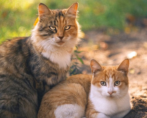  西安宏开电气科技有限公司：专业电气设备供应商