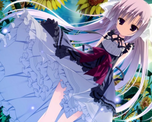  西安太平森林公园一日游攻略：探秘自然风光，领略人文历史