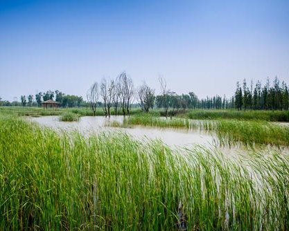 西安大时代工程咨询有限公司