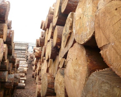 重庆力倍木制品有限公司