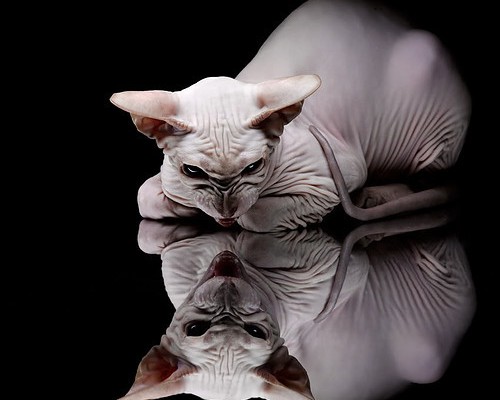 民营企业发展的现状及策略.