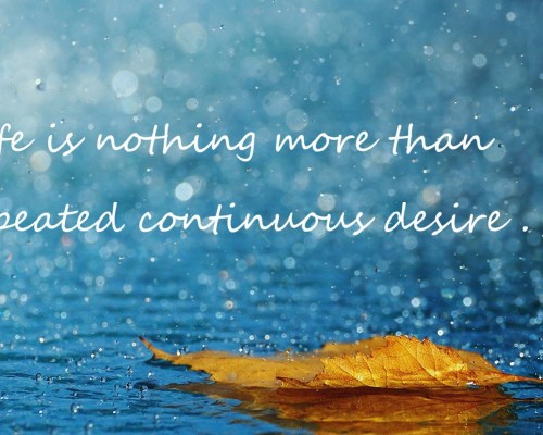 西安幼儿教具怎么样（西安幼儿教具怎么样啊）