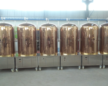 南阳市源鑫啤酒机械设备有限公司