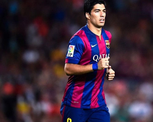 宿迁泽达职业技术学院官网