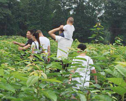 彭州市亲亲果园水果种植专业合作社