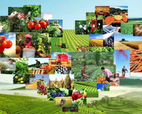 西安高资化工集团有限公司