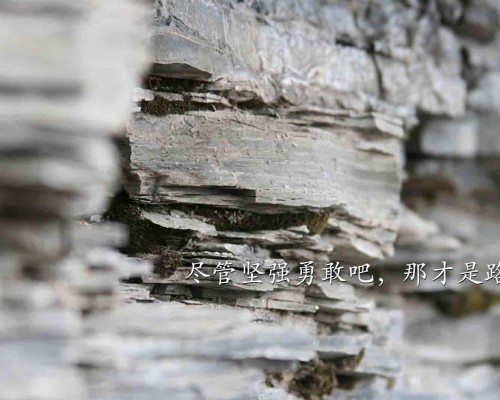 阿尔卑斯奶糖官网