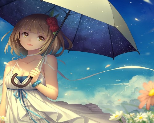 我的美丽日记官网