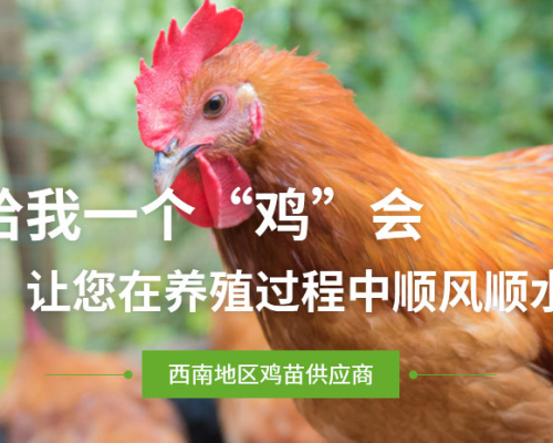 广汉市乐航养殖有限公司