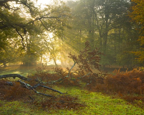 西安长安华鹰驾校怎么样（西安长安华鹰驾校怎么样啊）