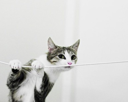  代办专利代理及代办专利代理机构：为您保驾护航创新之路