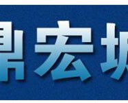 鼎宏诚科技智能安防