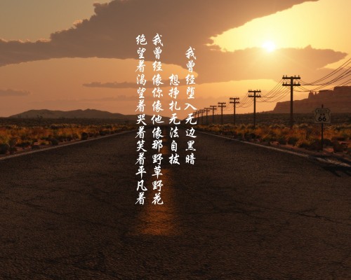  深圳工商局网：打造数字化服务平台，助力企业发展