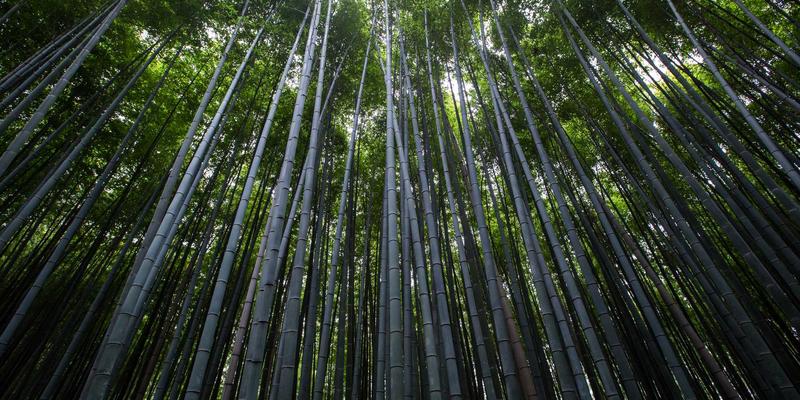 西安邮电大学——双非院校里的通信就业强者,运营商和华为中兴的招聘大户