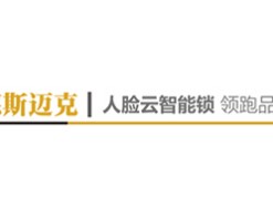 德斯迈克智能锁