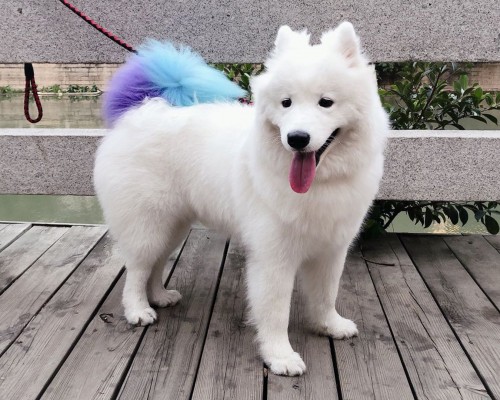  应用材料(西安)有限公司校园招聘及西安应用材料中国有限公司介绍