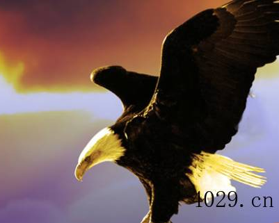 陕西长博检测科技有限公司