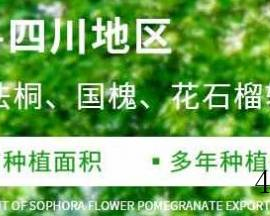 四川大邦绿地园林工程有限公司