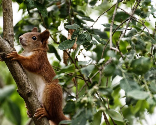 个人独资企业是什么