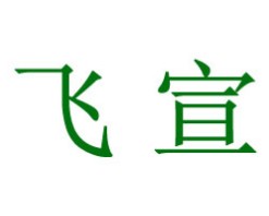 飞宣智能家居